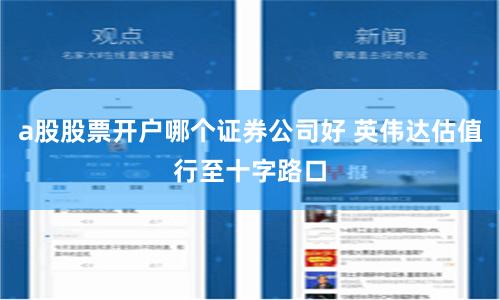 a股股票开户哪个证券公司好 英伟达估值行至十字路口