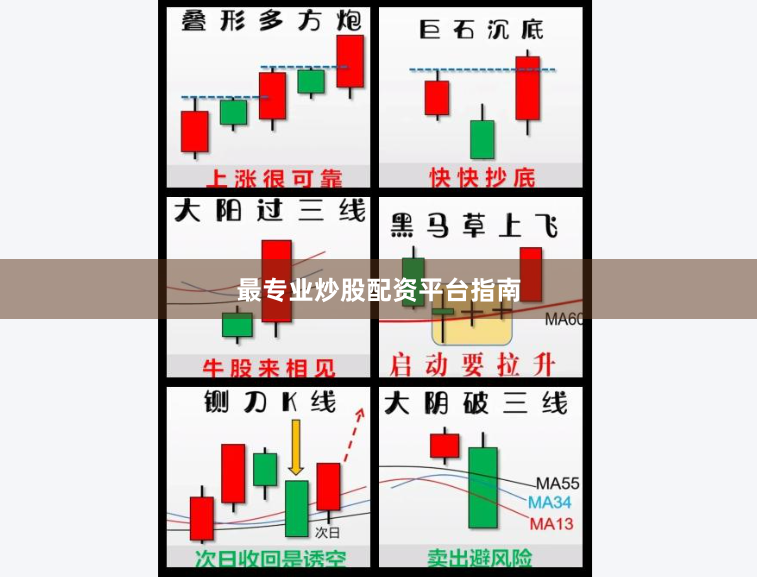 最专业炒股配资平台指南